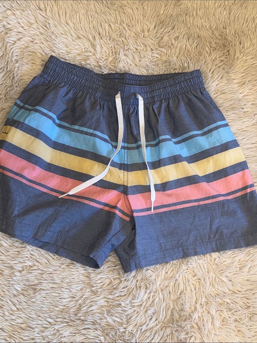 🌊 Men's Chubbies Stripe Swim Trunks medium
